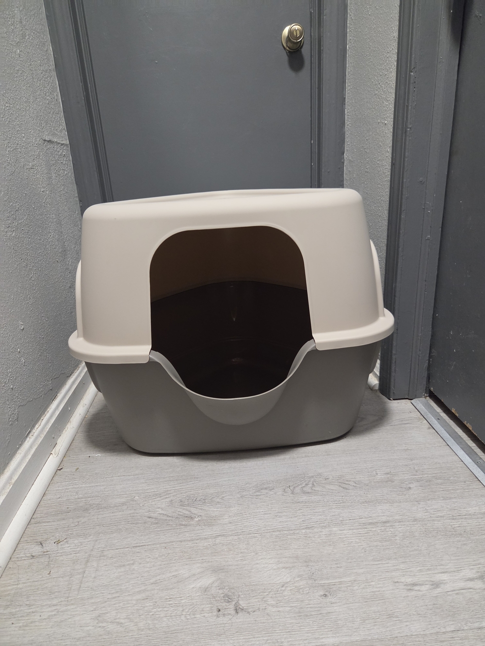 Sandbox Cat Litter Box - Two-Tone Cream and Gray